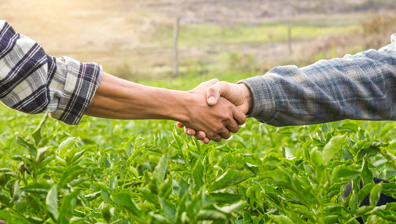 Langfristige Partnerschaften mit unseren Landwirten