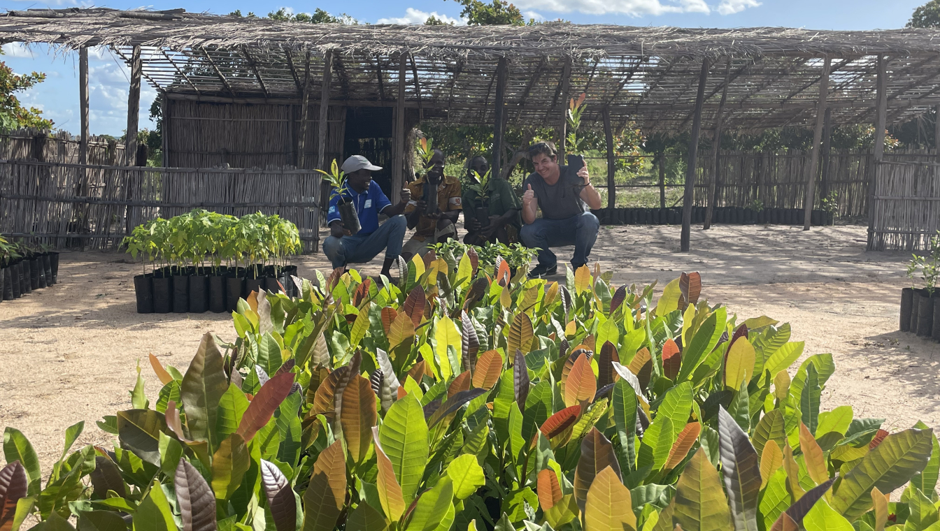 Cashew Development Fund